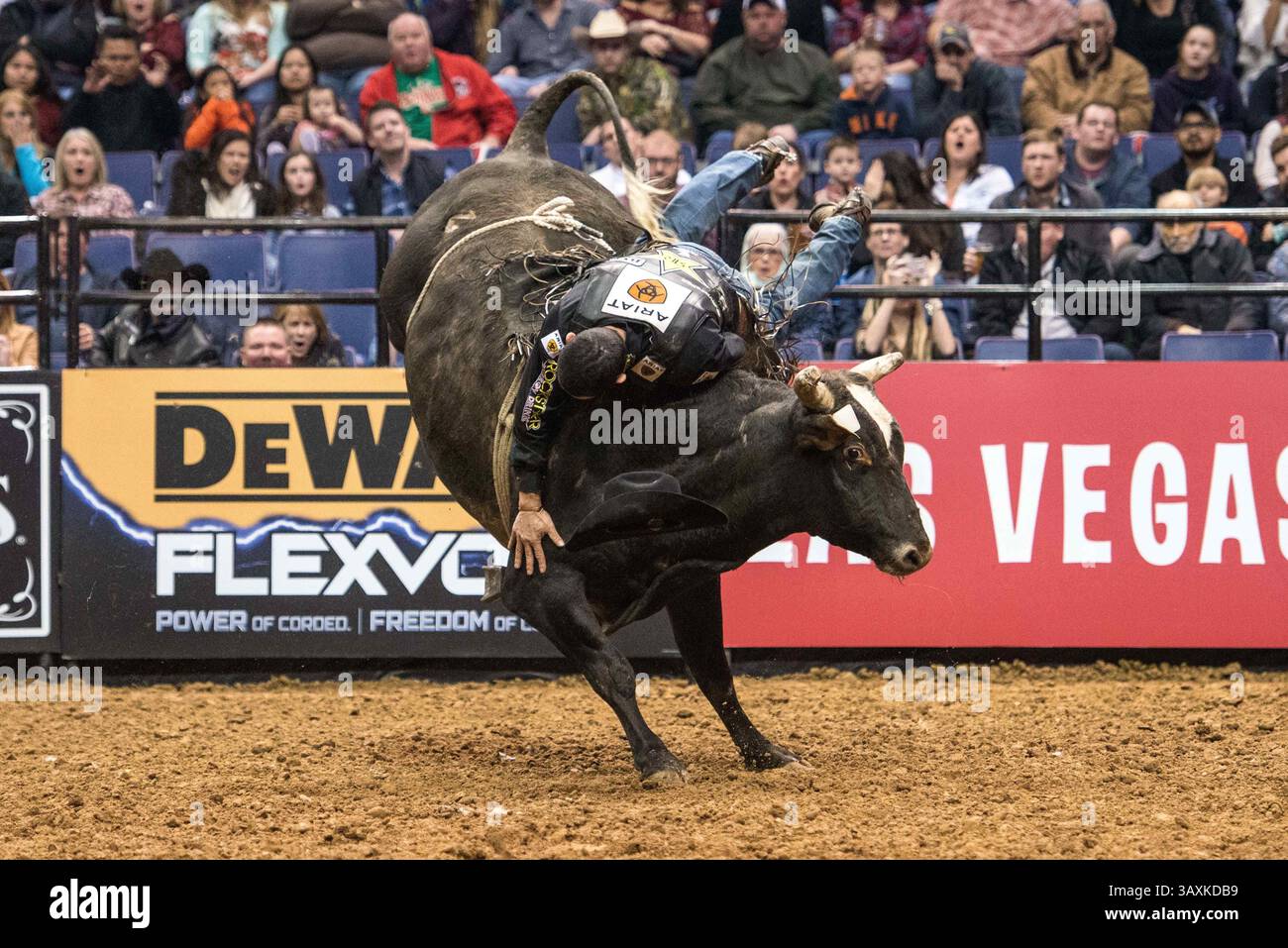 24 febbraio 2017 - St. Louis, Missouri, U. S - JOAO RICARDO VIEIRA colpisce il toro Freak of Nature Hard prima di essere completamente buttato fuori nel primo giorno del Professional Bull Riders Built Ford Tough Series, Bass Pro Chute Out presentato da Cooper Tires venerdì 24 febbraio 2017 allo Scottrade Center di St. Louis, Missouri (immagine di credito: © Richard Ulreich via ZUMA Wire) Foto Stock