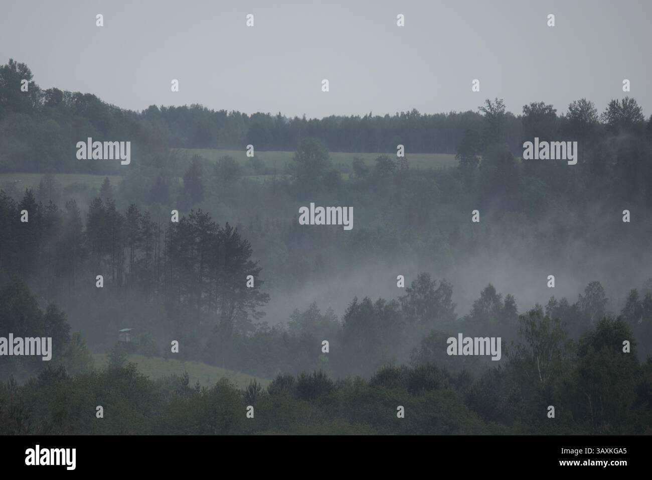 Una vista serena della nebbia che si innalza dolcemente sulle colline boscose e sui prati lontani durante una giornata di pioggia. Foto Stock