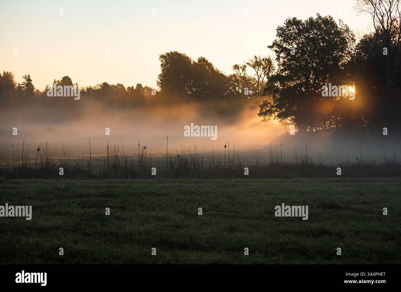 Il paesaggio cambia forma quando i raggi del sole si infrangono attraverso la fitta nebbia. Magia totale. Foto Stock
