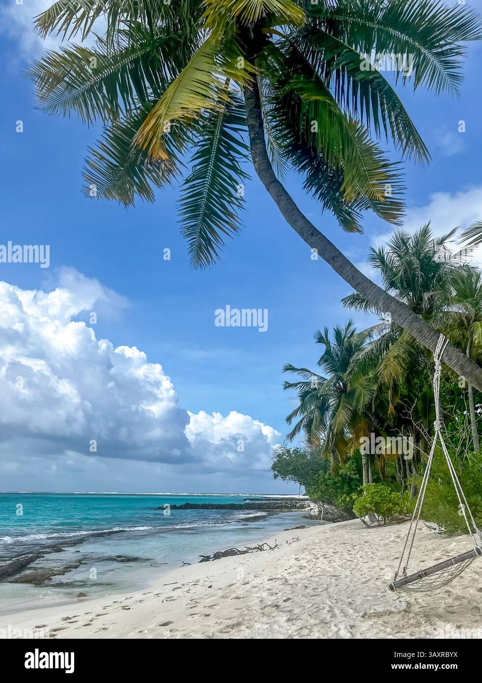 Una splendida spiaggia tropicale, caratterizzata da una robusta palma adagiata su soffice sabbia bianca e invitanti acque turchesi. Foto Stock