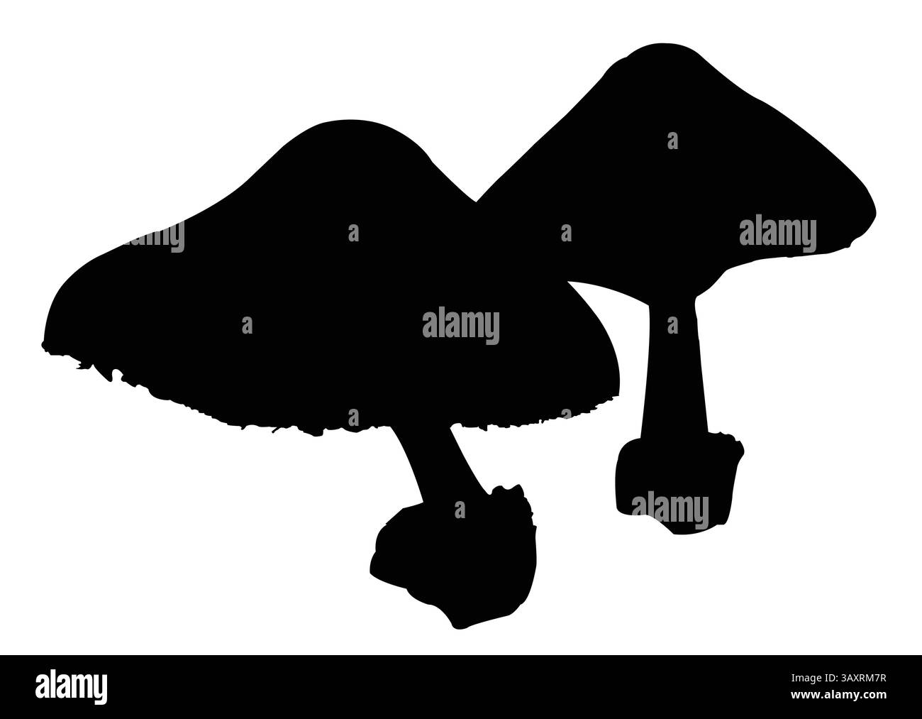 illustrazione della silhouette a fungo; due funghi che crescono insieme Illustrazione Vettoriale