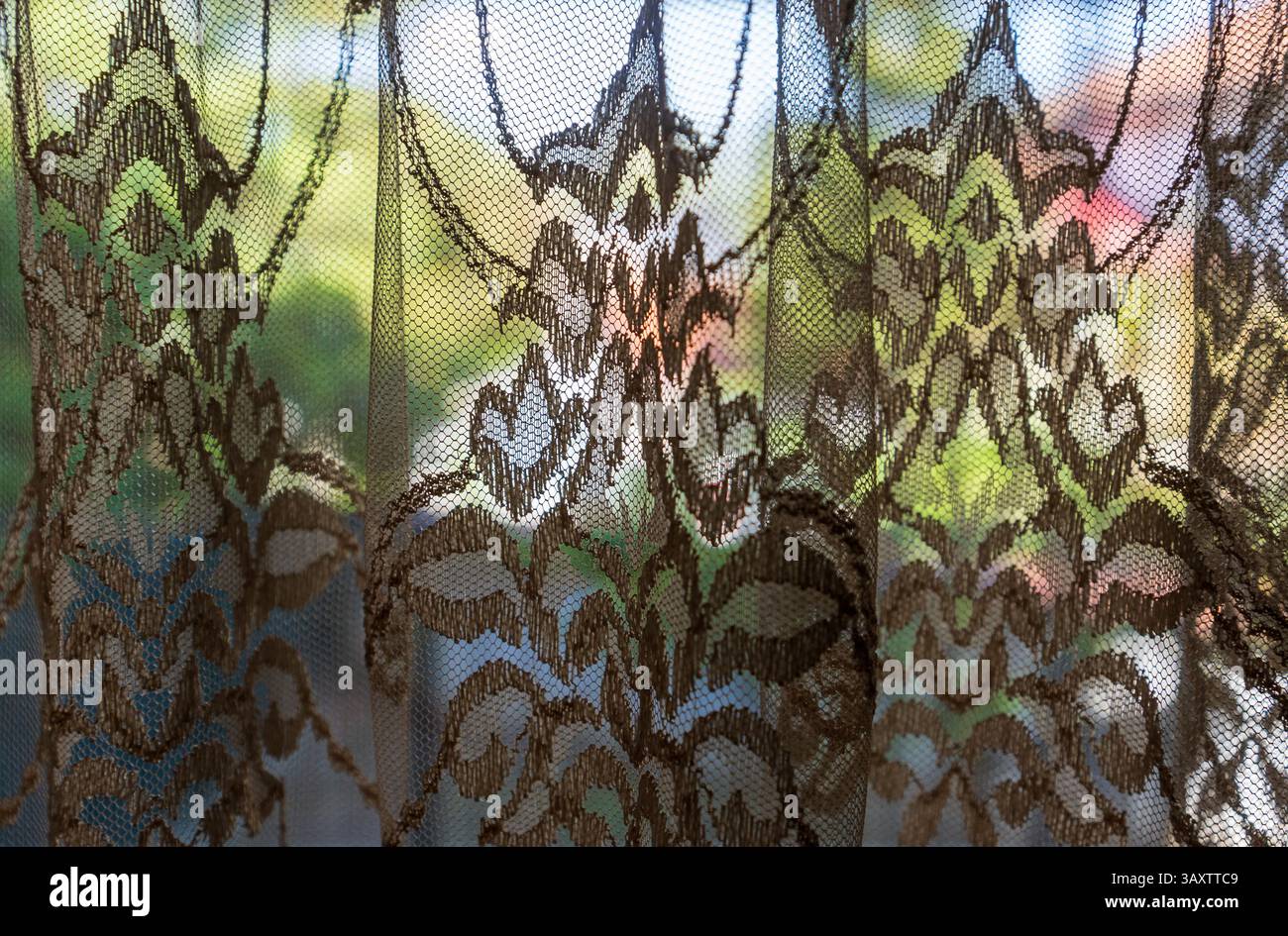 Scorci morbidi: Tende e sfocatura della primavera Foto Stock