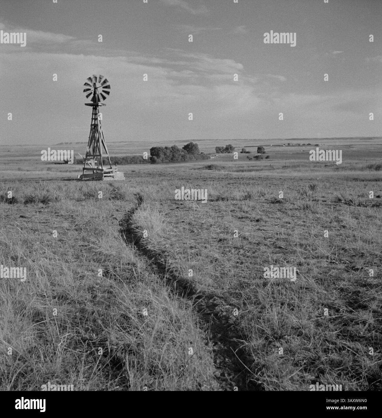 22 luglio 2016 - Cattle Paths to Water Hole by Windmill on Grazing Land, vicino a Scottsbluff, Nebraska, USA, Marion Post Wolcott per Farm Security Administration, settembre 1941 (Credit Image: © circa Images/Glasshouse via ZUMA Wire) Foto Stock