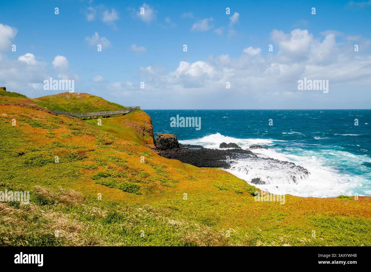 Vista panoramica dello stretto di Bass, del Nobbies Center, di Phillip Island, Australia Foto Stock