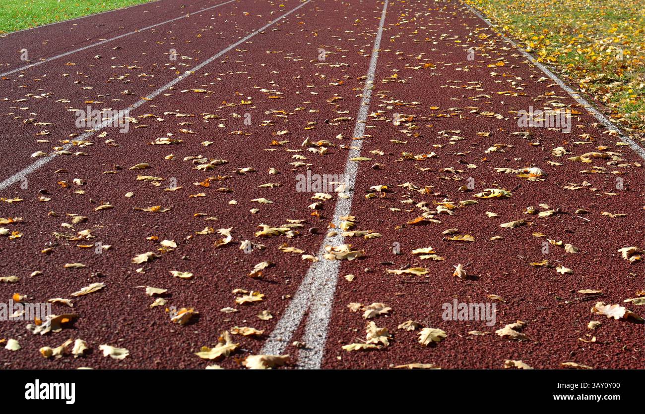 Pista da corsa rossa con linee bianche ricoperte di foglie autunnali cadute Foto Stock