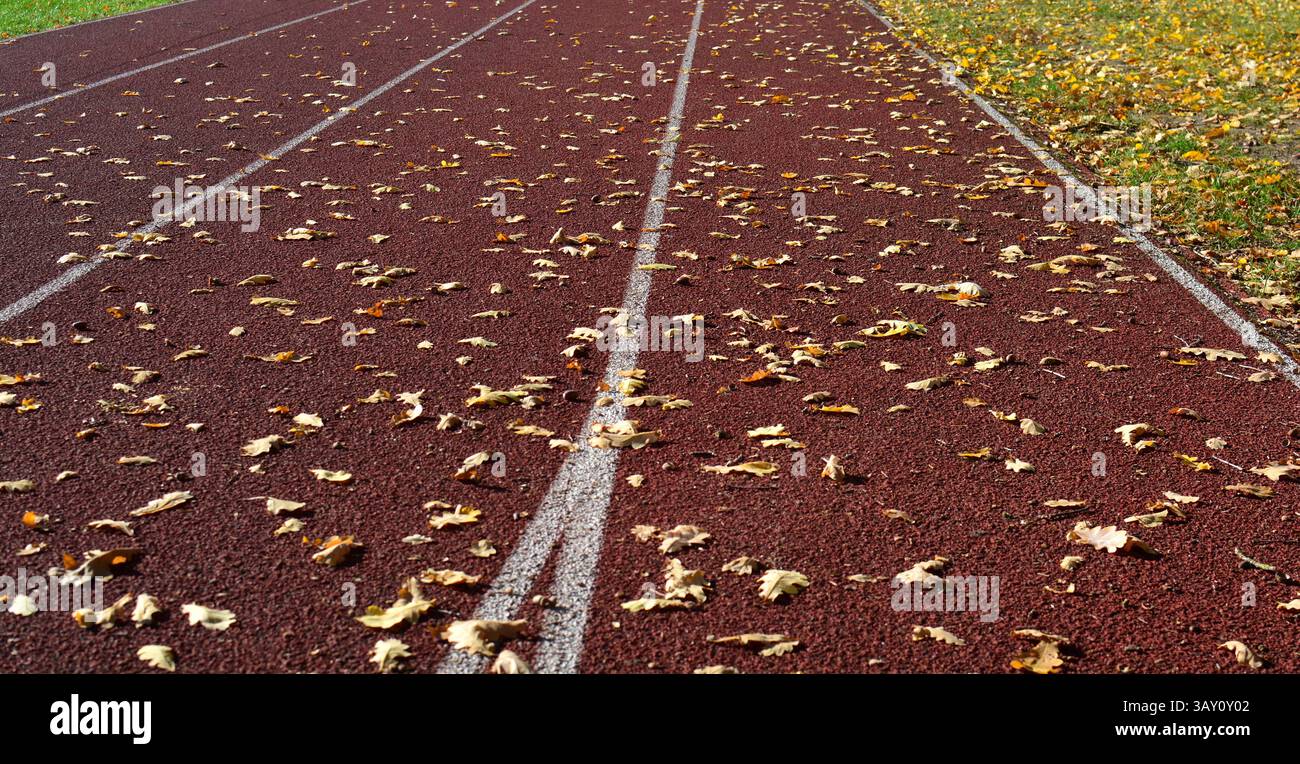 Pista da corsa rossa con linee bianche ricoperte di foglie autunnali cadute Foto Stock