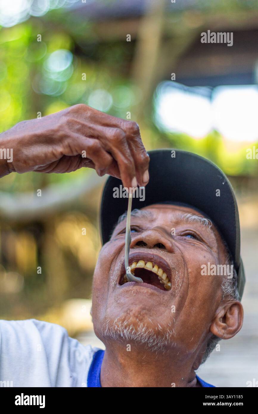 Un vecchio filippino mangia i vermi da legna, una prelibatezza unica nel suo genere, al Bakhawan Ecopark di Kalibo, Aklan, come parte di una dimostrazione di ecoturismo Foto Stock