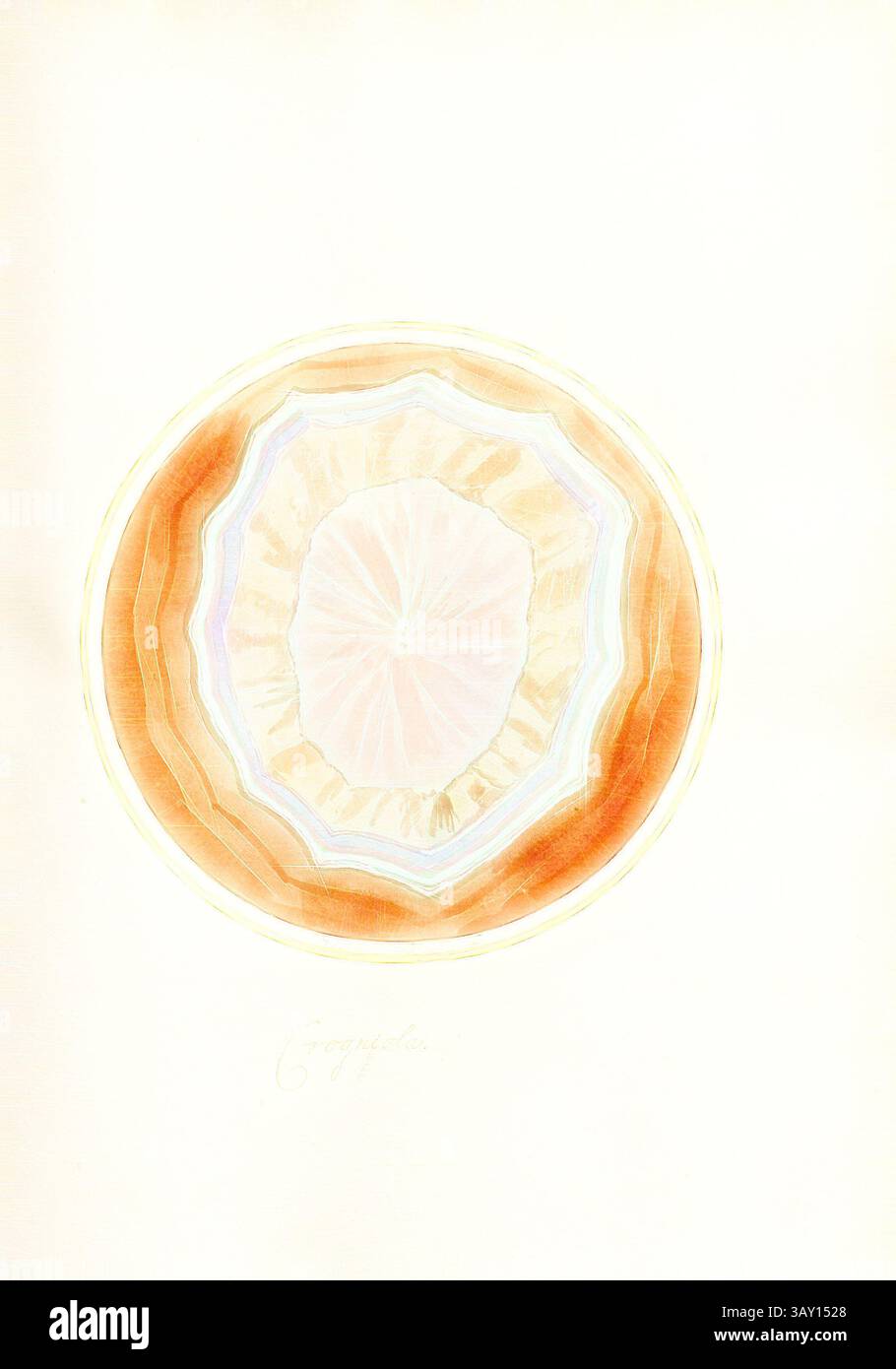 Una rappresentazione circolare splendidamente dettagliata di un geode, che mostra strati concentrici di sfumature morbide e texture che suggeriscono le formazioni naturali che si trovano al suo interno. Gli intricati motivi si irradiano da un nucleo centrale, creando un senso di profondità e bellezza organica., Crogniola 2, sezione trasversale di una roccia, firmata: Gaetano Piccini F, Fig. 20, pag. 47, Piccini, Gaetano (fec.), Gaetano Piccini: [Breccia antica]. [ROM]: [S.n.], [17--], arte classica con un tocco moderno reinventata da Artotop Foto Stock