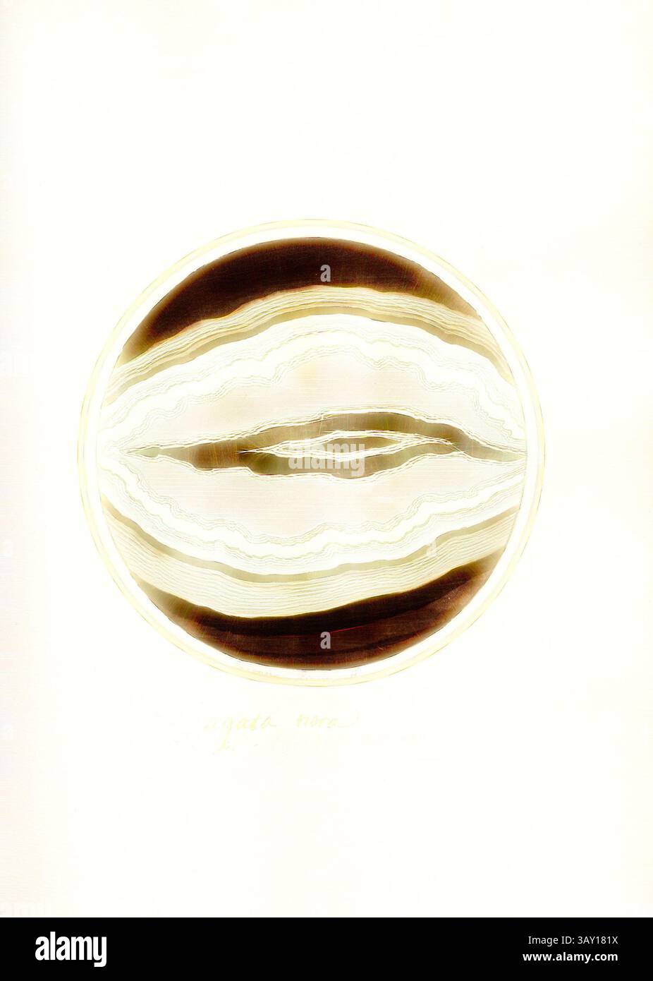 Un motivo circolare che mostra strati di toni terrosi, simile a una sezione trasversale di un geode o ai disegni intricati trovati in pietra di agata, con linee lisce e ondulate che creano un senso di profondità e movimento., Agata nera, sezione trasversale di una roccia, firmata: Gaetano Piccini F, Fig. 80, pag. 167, Piccini, Gaetano (fec.), Gaetano Piccini: [Breccia antica]. [ROM]: [S.n.], [17--], arte classica con un tocco moderno reinventata da Artotop Foto Stock