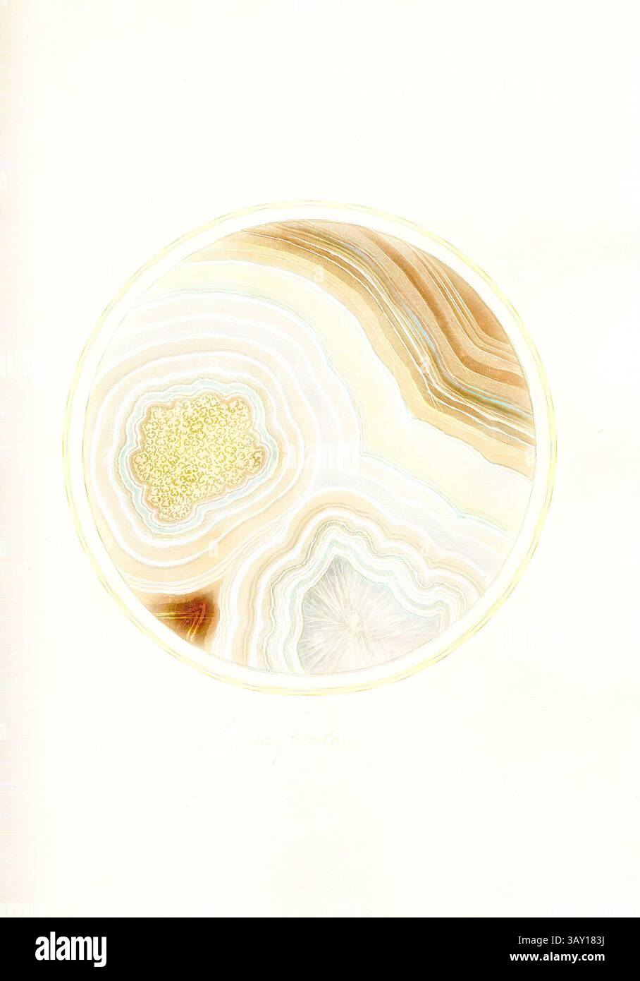 Una splendida formazione geologica presenta strati vorticosi di morbidi marroni e sfumature cremose, con un suggestivo motivo centrale che ricorda un tesoro naturale. Le intricate texture invitano ad uno sguardo più da vicino, rivelando la bellezza che si trova nei materiali della terra., Agata Fionto, sezione trasversale di una roccia, Fig. 91, pag. 189, Piccini, Gaetano (fec.), Gaetano Piccini: [Breccia antica]. [ROM]: [S.n.], [17--], arte classica con un tocco moderno reinventata da Artotop Foto Stock