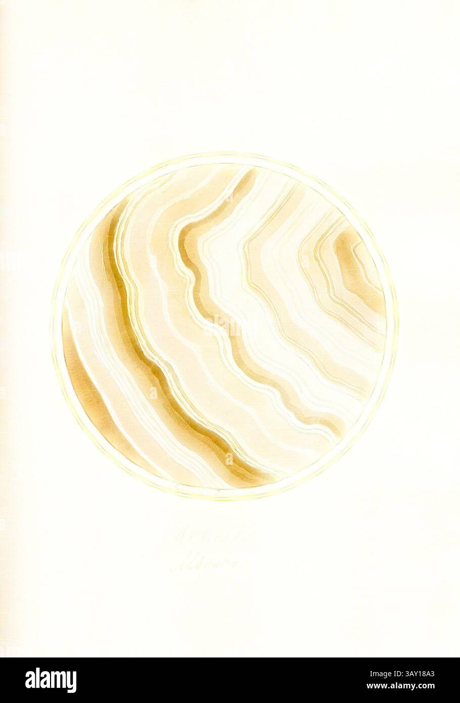 Un design circolare caratterizzato da linee fluide e sfumature di calde tonalità beige e crema, che ricordano i motivi naturali che si trovano nelle agate o in altre formazioni rocciose. Le eleganti curve creano un senso di movimento e profondità all'interno della cornice circolare., Blu 3, sezione trasversale di una roccia, firmata: Gaetano Piccini F, Fig. 137, pag. 281, Piccini, Gaetano (fec.), Gaetano Piccini: [Breccia antica]. [ROM]: [S.n.], [17--], arte classica con un tocco moderno reinventata da Artotop Foto Stock