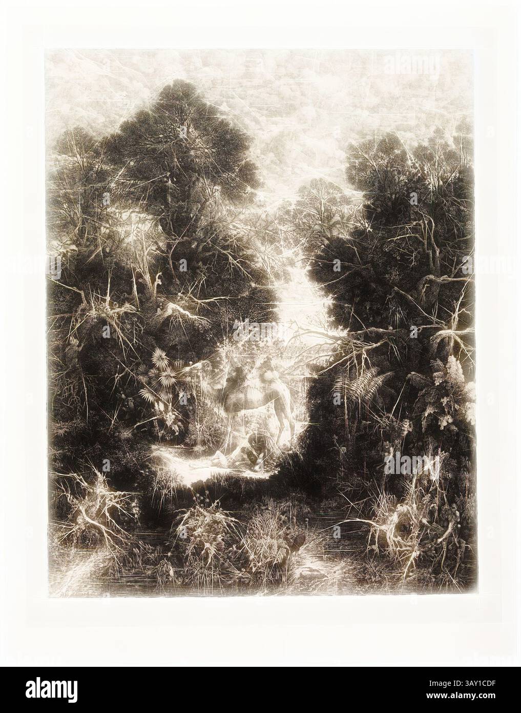 Una scena serena e intricata si svolge all'interno di una fitta foresta, dove una figura sembra riposare in mezzo a una vegetazione lussureggiante. Gli alberi circostanti e il fogliame creano una consistenza stratificata, intervallata da accenni di fauna selvatica. L'atmosfera generale trasmette un senso di calma e mistero, invitando gli spettatori ad esplorare le profondità nascoste della natura., Rodolphe Bresdin, francese, 1822-1885, le Bon Samaritain, 1861, litografia stampata in nero su chine colle, immagine: 22 1/4 x 17 1/2 poll., arte classica con un tocco moderno reinventata da Artotop Foto Stock