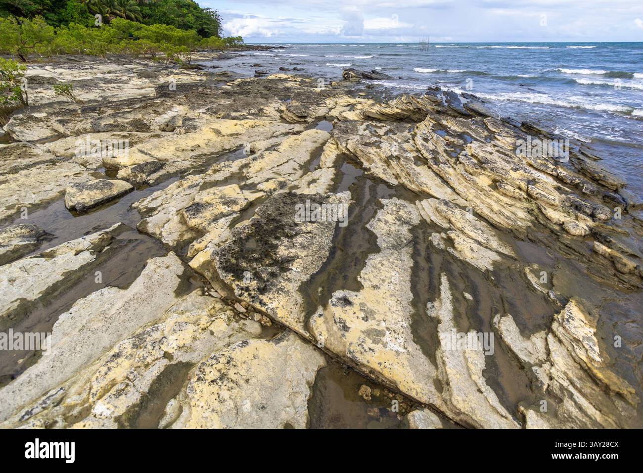 La formazione Afga Wave Rock a Tangalan, Aklan, Filippine, presenta strati di corallo e calcare scolpiti dalle onde, una meravigliosa meraviglia geologica costiera Foto Stock