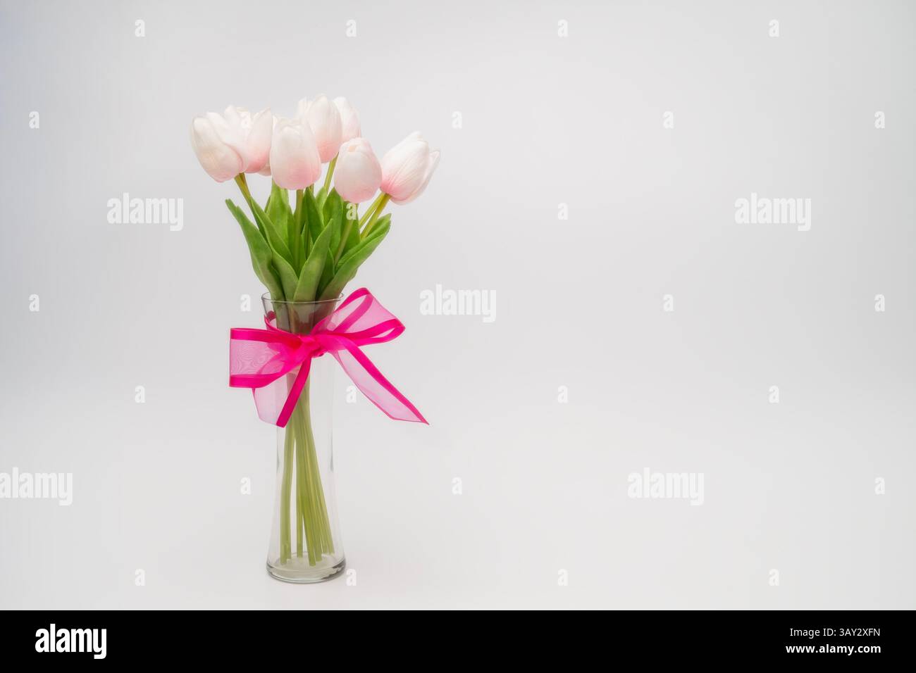 Vaso in vetro con tulipani rosa chiaro e fiocco magenta brillante su sfondo bianco Foto Stock