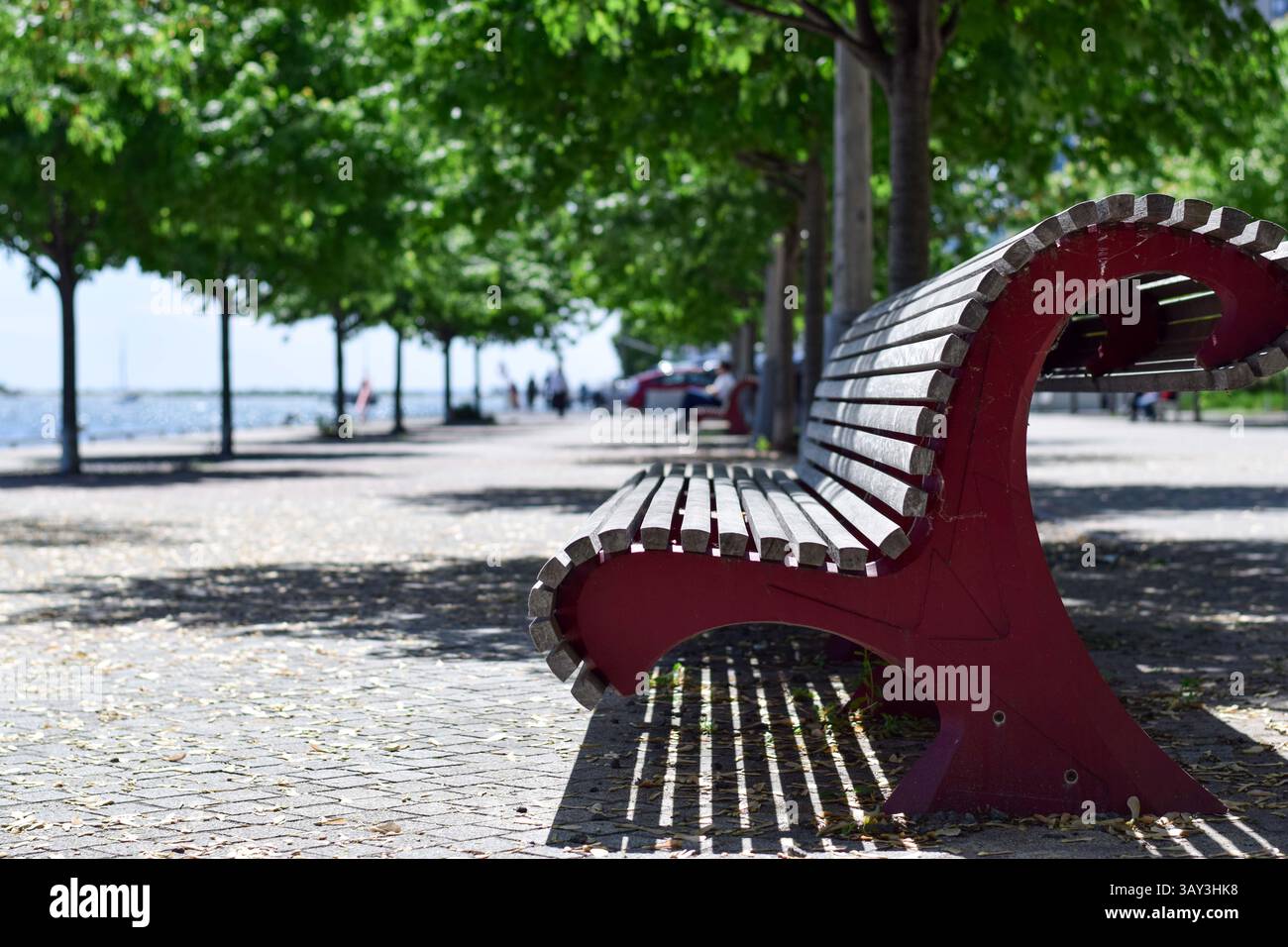 Una panchina vuota e appartata al Toronto Waterfront Park in una giornata di sole d'estate Foto Stock