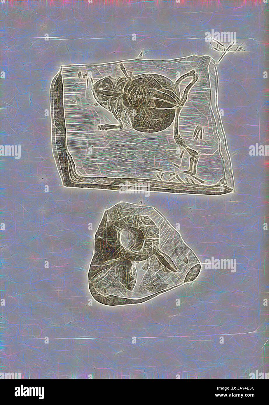 Sono raffigurate due rappresentazioni astratte di pietre, una somiglia a una lastra rettangolare con forme e trame organiche intricate, mentre l'altra è una forma più irregolare, arrotondata con una rientranza centrale. Entrambi i pezzi mostrano una miscela di linee fluide e un senso di profondità, suggerendo una fusione di elementi naturali e interpretazioni artistiche. Fossili 6, Petrificazione di un rospo e un riccio di mare, incisione di rame, PL. 15, dopo P. 266, Johann Gerhard Reinhard Andreae, Briefe aus der Schweiz. Nach Hannover geschrieben in dem Jare 1763. Zürich [ecc.]: bei Joh. Caspar Füessli Sohn [ecc. Foto Stock