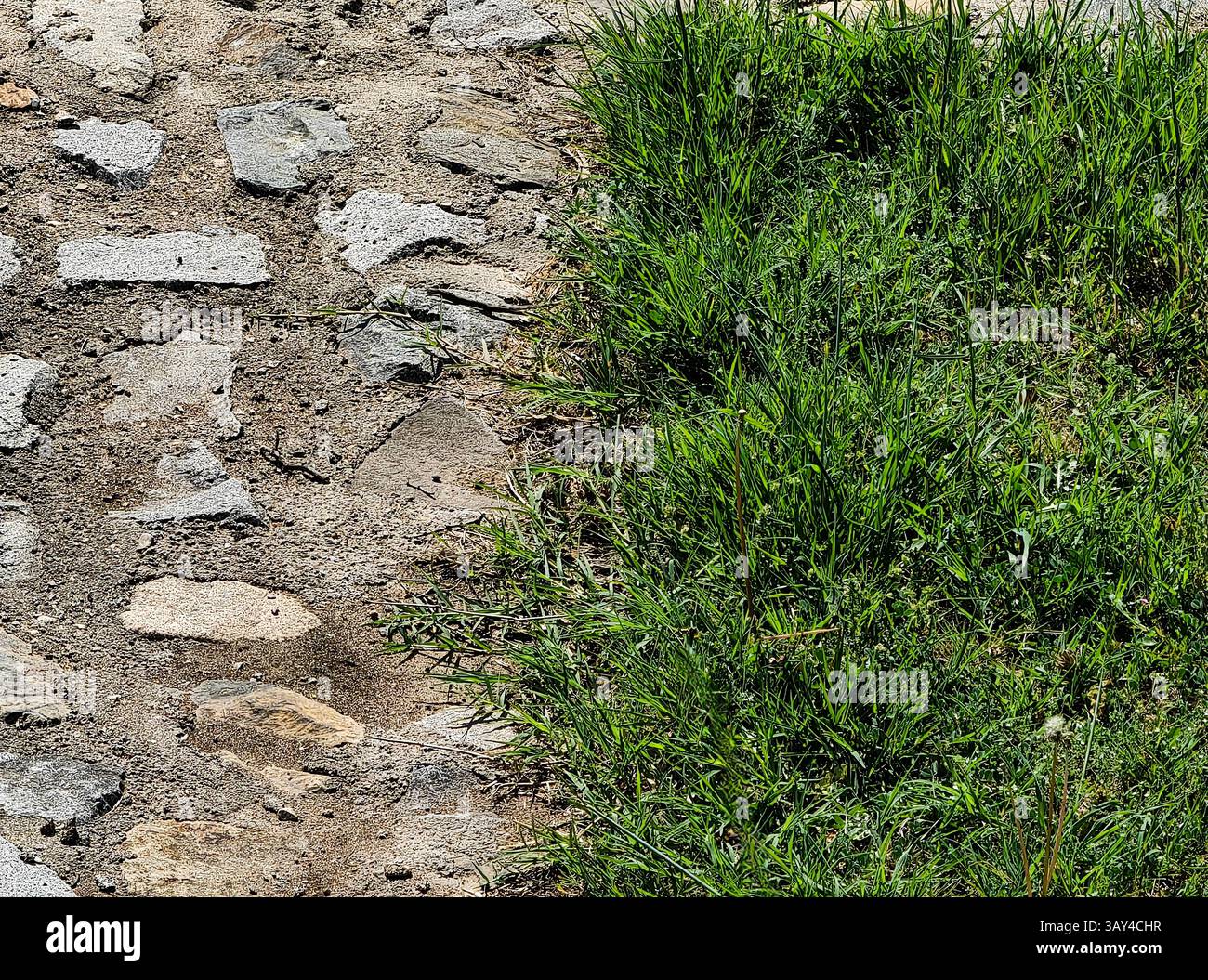Due mondi: Erba e pietre Foto Stock