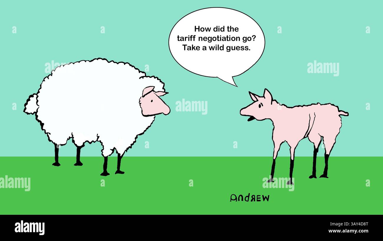 Le pecore sono state scoraggiate nel negoziato tariffario. Foto Stock