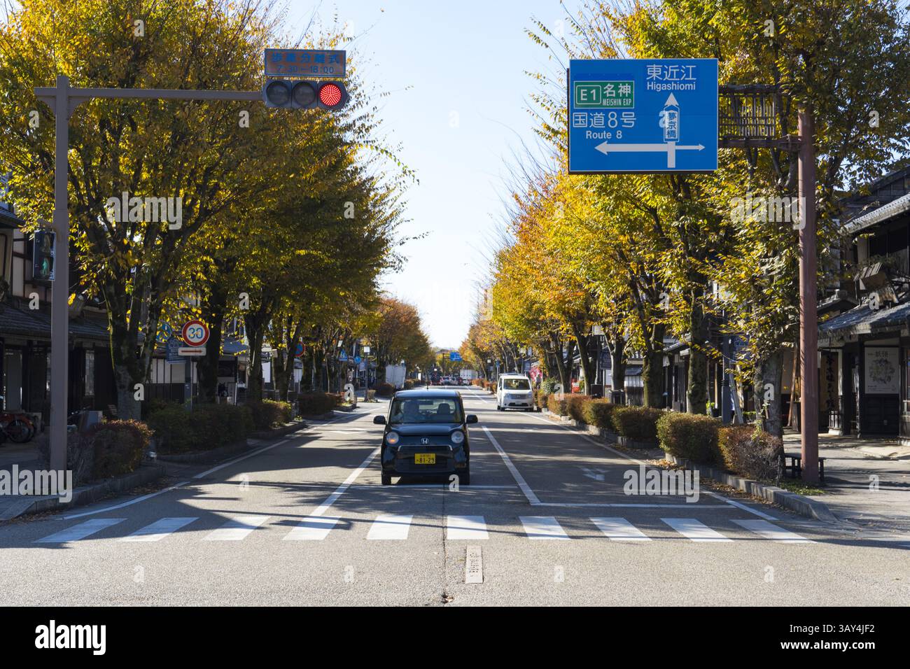 Alberi di Ginkgo dorati fiancheggiati su entrambi i lati di Yume Kyobashi Castle Road, una moderna via dello shopping fuori dal fossato esterno del castello di Hikone. Foto Stock