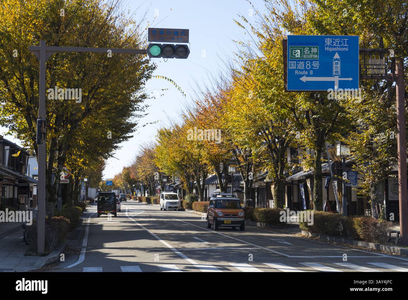 Alberi di Ginkgo dorati fiancheggiati su entrambi i lati di Yume Kyobashi Castle Road Foto Stock