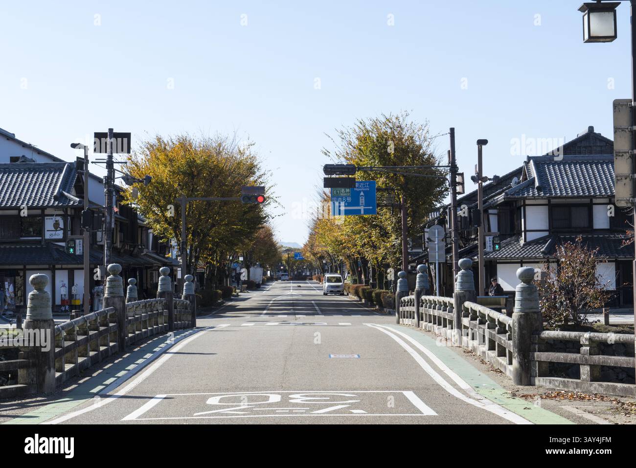 Alberi di Ginkgo dorati fiancheggiati su entrambi i lati di Yume Kyobashi Castle Road Foto Stock