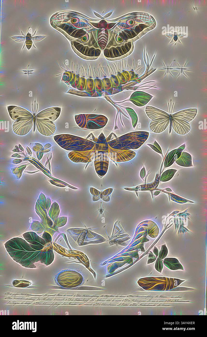 Un'intricata illustrazione che mostra varie specie di falene e farfalle, insieme alle loro fasi di vita, tra cui caterpillars e bozzoli, circondati da delicati elementi botanici. I colori e i motivi vivaci evidenziano la bellezza e la diversità di questi insetti e dei loro habitat naturali: Farfalle e brufoli, varie specie di farfalle, Taf. Vi, Heinrich Rudolf Schinz: Abbildungen aus der Naturgeschichte. Zürich: bei Friedrich Schulthess, [1824], arte classica con un tocco moderno reinventata da Artotop Foto Stock