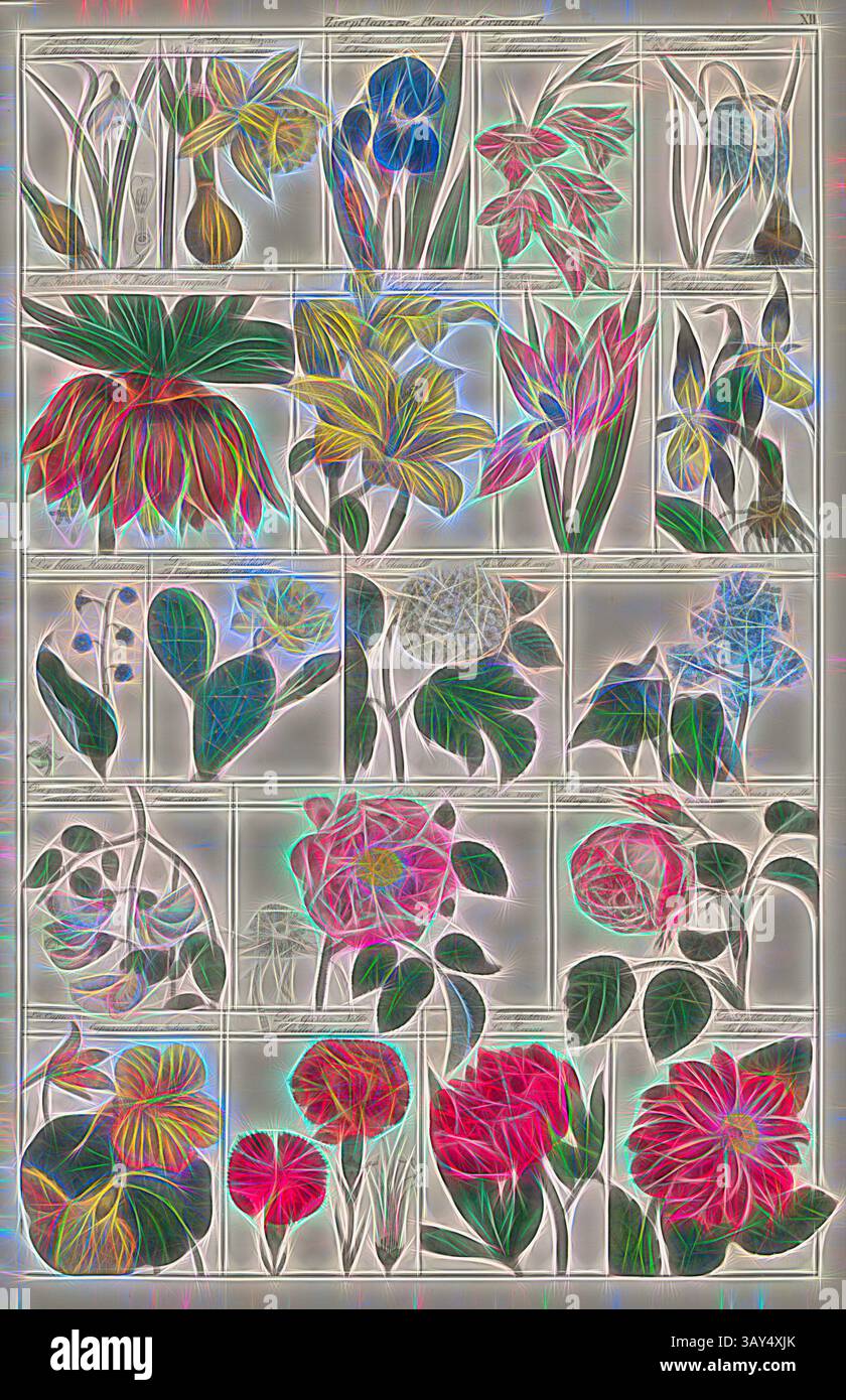 Un vivace collage di fiori diversi, che presenta intricati disegni di petali e lussureggianti fogliame, ognuno visualizzato in formato griglia. L'opera d'arte mette in risalto una vasta gamma di specie floreali, combinando colori audaci e motivi delicati. Ornamenti, vari tipi di fiori, PL. XII, Heinrich Rudolf Schinz: Abbildungen aus der Naturgeschichte. Zürich: bei Friedrich Schulthess, [1824], arte classica con un tocco moderno reinventata da Artotop Foto Stock