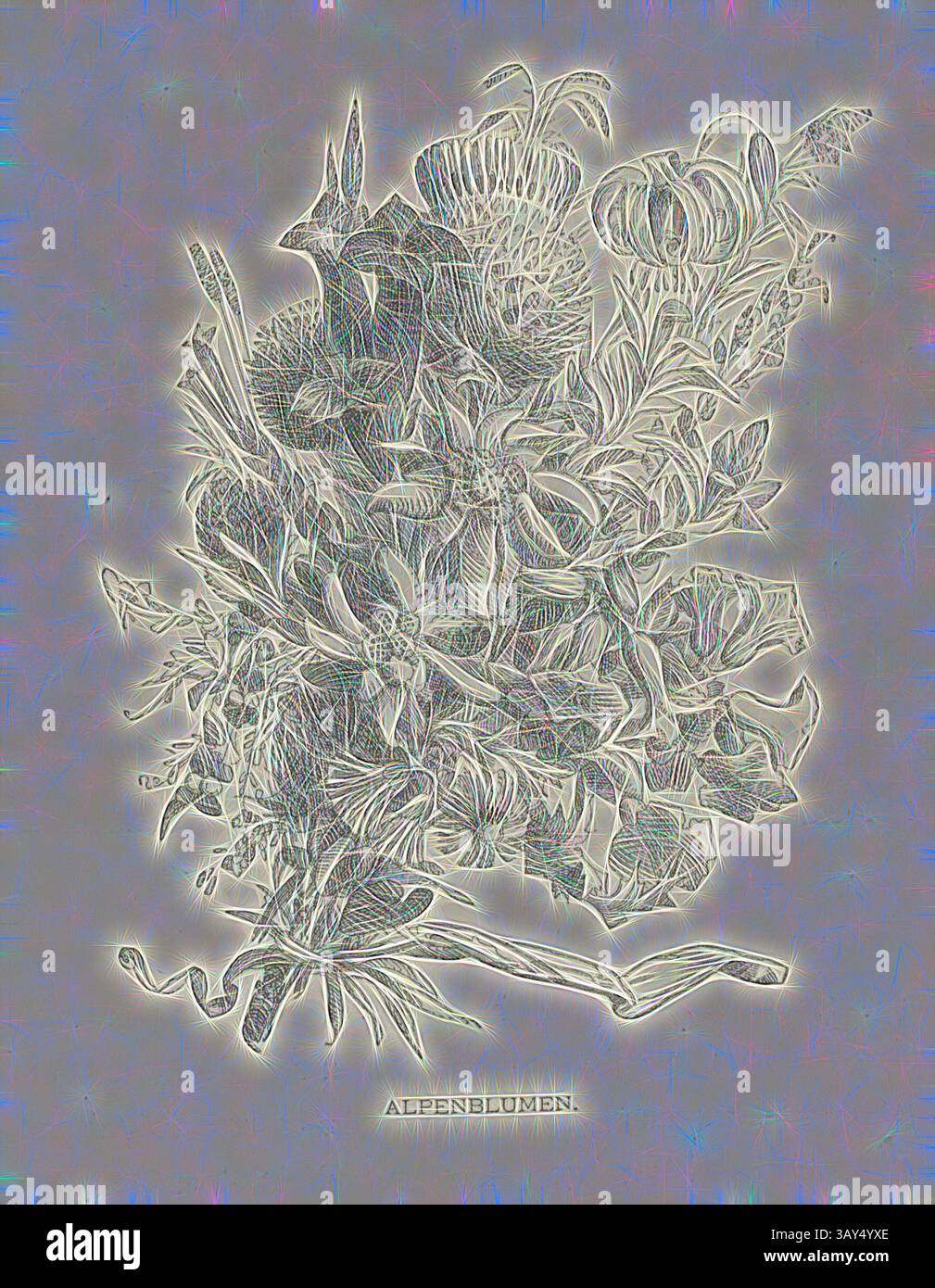 Un'illustrazione dettagliata di fiori alpini, che mostra vari fiori delicati intrecciati con foglie e steli, il tutto reso in modo stilizzato e lineare. Il titolo 'Alpenblumen' è in primo piano in basso., Alpenblumen, illustrazione di una disposizione floreale alpina del XIX secolo, Fig. 14, pag. 15, Woldemar Kaden: DAS Schweizerland: eine Sommerfahrt durch Gebirg und Thal. Stoccarda: Engelhorn, 1875, arte classica con un tocco moderno reinventata da Artotop Foto Stock