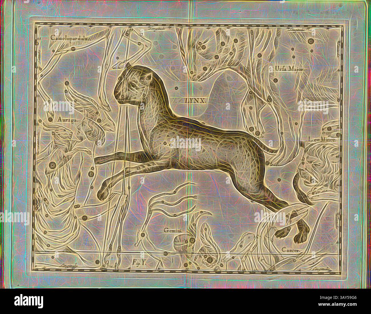 Una rappresentazione artistica di una costellazione celeste caratterizzata da un felino che salta, circondato da stelle vorticose e intricati disegni cosmici, che illustrano la connessione tra mitologia e cielo notturno., Lynx, Mappa della costellazione Lynx, Fig. 27, fig. Y, a P. 21, Johannes Hevelius, Johann Ernst von Schmieden: Johannis Hevelii prodromus astronomiae, exhibens fondamenta, quae tam ad novum planè & correctiorem stellarum fixarum catalogum construendeum, quàm ad onmium planetarum tabulas corrigendas omnimodè spectant; nec non novas & cortiores ad pluasores ad solrimes, tabulas Foto Stock