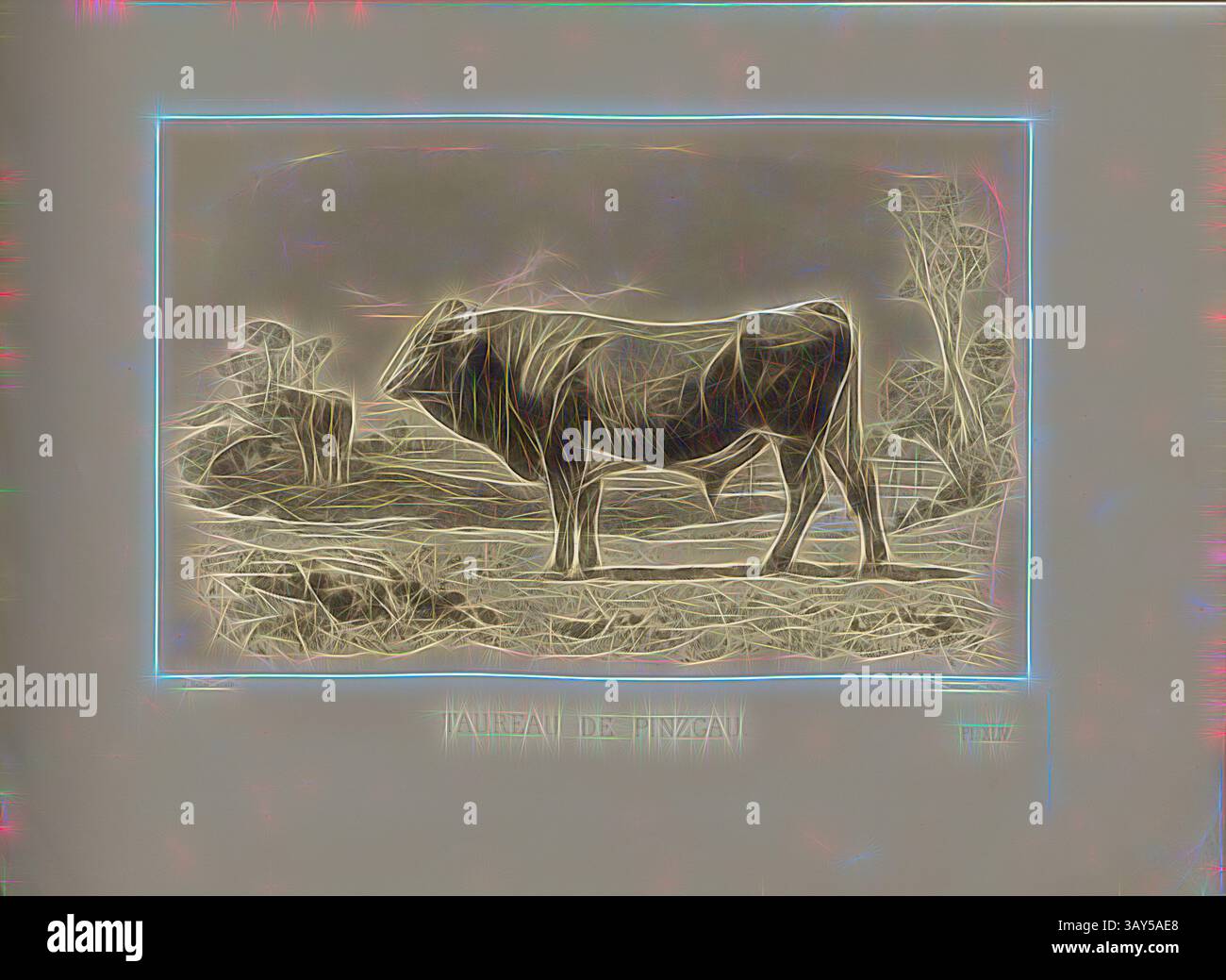 Una rappresentazione stilizzata di una mucca in piedi su uno sfondo naturale testurizzato, con intricati lavori di linea che creano una qualità eterea. La scena evoca un senso di tranquillità in un ambiente rurale. Toro di Pinzgau, razza bovina austriaca, toro, firmato: Nadar jeune; Emile Van Marcke; J. Rebel Sculp, PL. XLIV, S. 105, Tournachon, Adrien Alban (Phot.); Marcke, Emile van; Rebel, J. (sc.), Emile Baudement: Les races bovines au concours universel agricole de Paris en 1856: études zootechniques. BD 2) Parigi: Imprimerie Impériale, MDCCCLXI [1861], arte classica con un tocco moderno reinventata da Artotop Foto Stock
