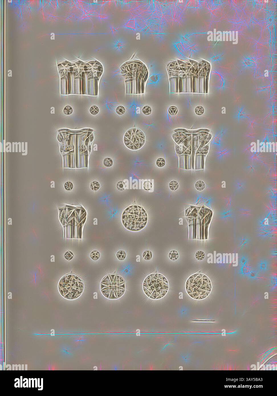 Una collezione di motivi complessi forma una disposizione strutturata, caratterizzata da varie forme e texture che assomigliano a forme naturali ed elementi circolari, il tutto su uno sfondo sottile. Il design evoca un senso di armonia e bellezza organica. Capitali e rosette, capitali e rosette nella Cattedrale di Meissen, firmata Schwechten del. Et sculp, Plate 13, dopo P. 11, Schwechten, Friedrich Wilhelm (del. Et sculp.), Friedrich Wilhelm Schwechten: Der Dom zu Meissen: vollständig auf 22 Tafeln dargestellt. Potsdam: Verlag von Ferdinand Riegel, 1849, arte classica con un tocco moderno reinventata Foto Stock