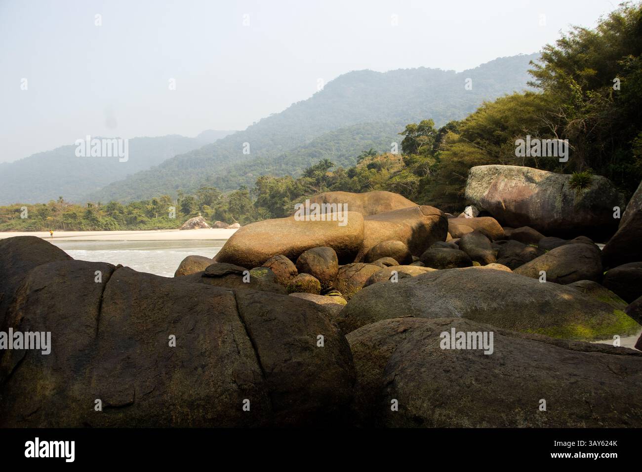 Spiaggia rocciosa in una foresta tropicale Foto Stock