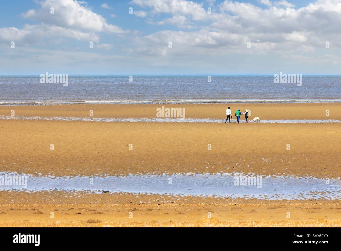 Dog walkers sul Golden sands su Holme spiaggia di Norfolk nel Regno Unito Foto Stock
