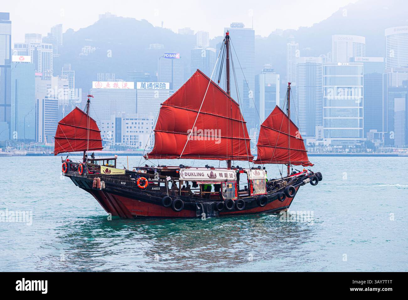 Il tradizionale Dukling cinese spazzatura (Duk Ling costruito nel 1955) visto nel Victoria Harbour da Tsim Sha Tsui, Kowloon, Hong Kong, Cina Foto Stock