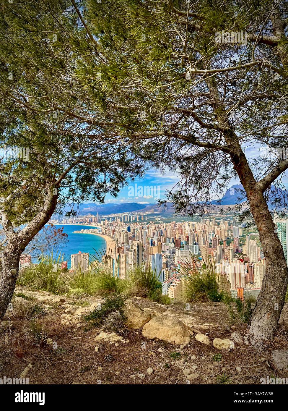 Una vista panoramica di una città costiera mediterranea, incorniciata da pini. Il contrasto tra la natura e lo skyline moderno, abbinato all'oceano e. Foto Stock