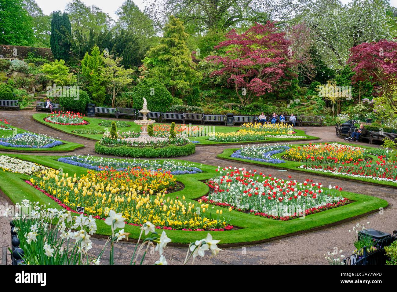 The Dingle, Quarry Gardens, Shrewsbury, Shropshire Foto Stock