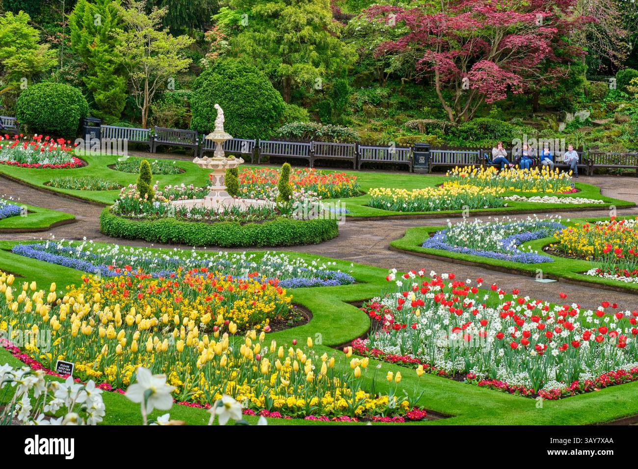 The Dingle, Quarry Gardens, Shrewsbury, Shropshire Foto Stock