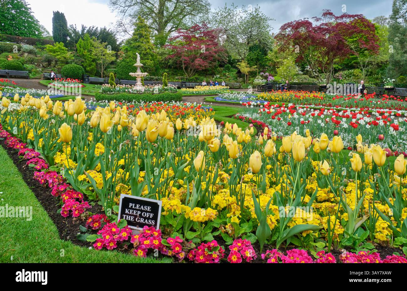 The Dingle, Quarry Gardens, Shrewsbury, Shropshire Foto Stock
