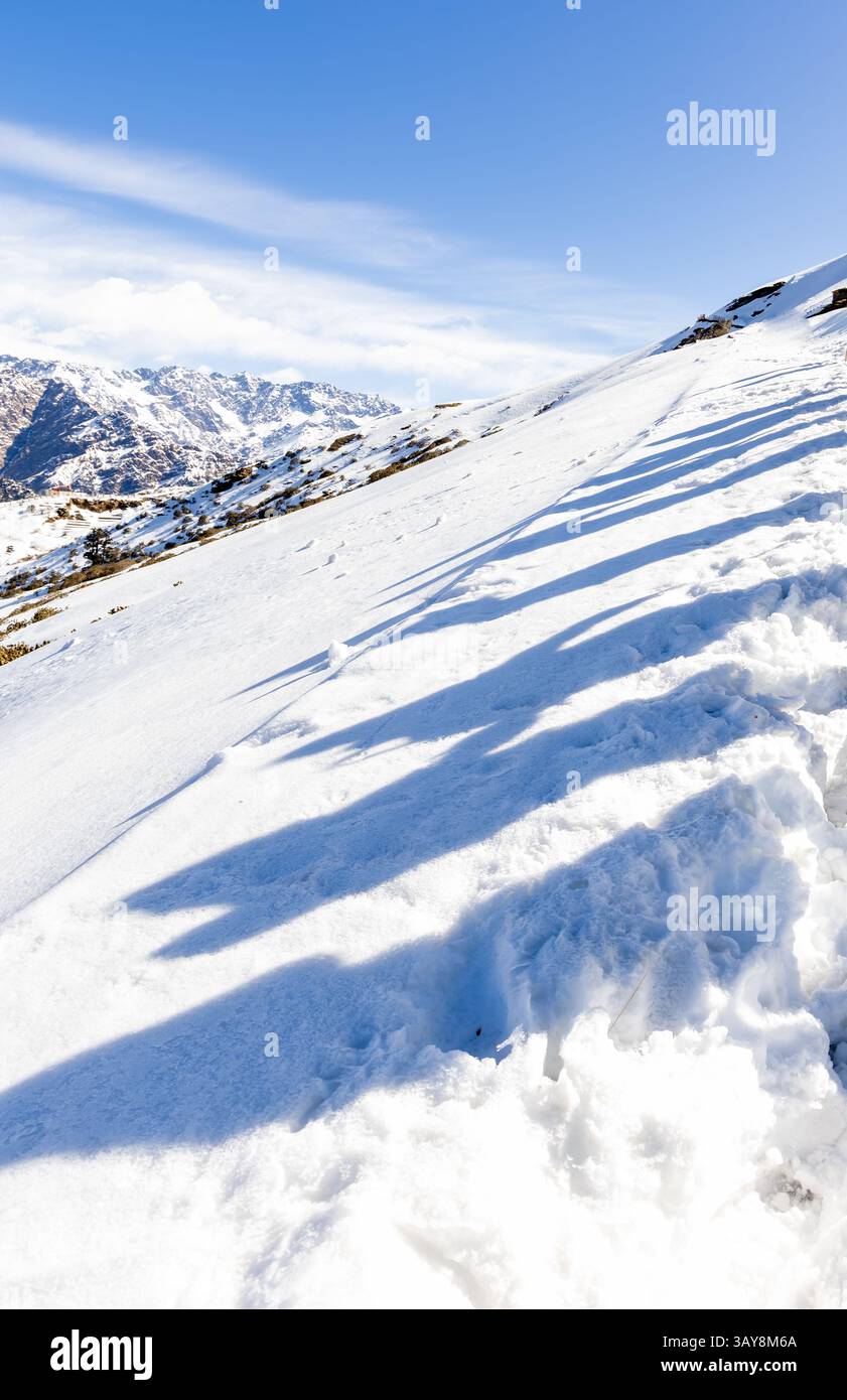 L'ombra di un gruppo di escursionisti che cammina su neve bianca fresca al mattino viene scattata un'immagine al monte Chopta Tungnath Himalayas, chandrashila, trekking a uttarakhand, india. Foto Stock
