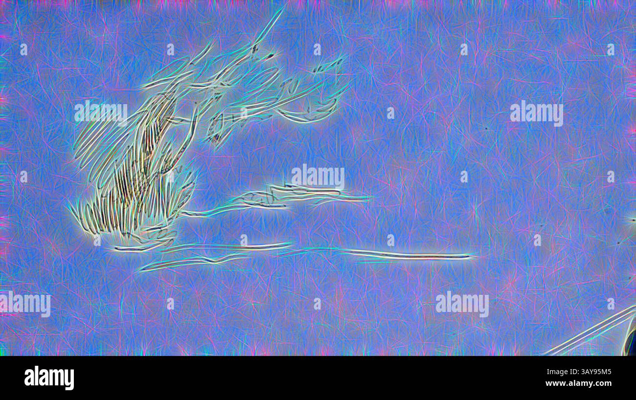 Una rappresentazione morbida e astratta di una pianta con foglie fluenti, ambientata su uno sfondo onirico che fonde toni freschi e motivi eterei., Landscape, John Ottis Adams (americano, 1851-1927), 1885, penna e inchiostro marrone su carta bianchissima, 6-7/8 x 4-1/4 in., serie, Munich Sketchbook, arte classica con un tocco moderno reinventata da Artotop Foto Stock