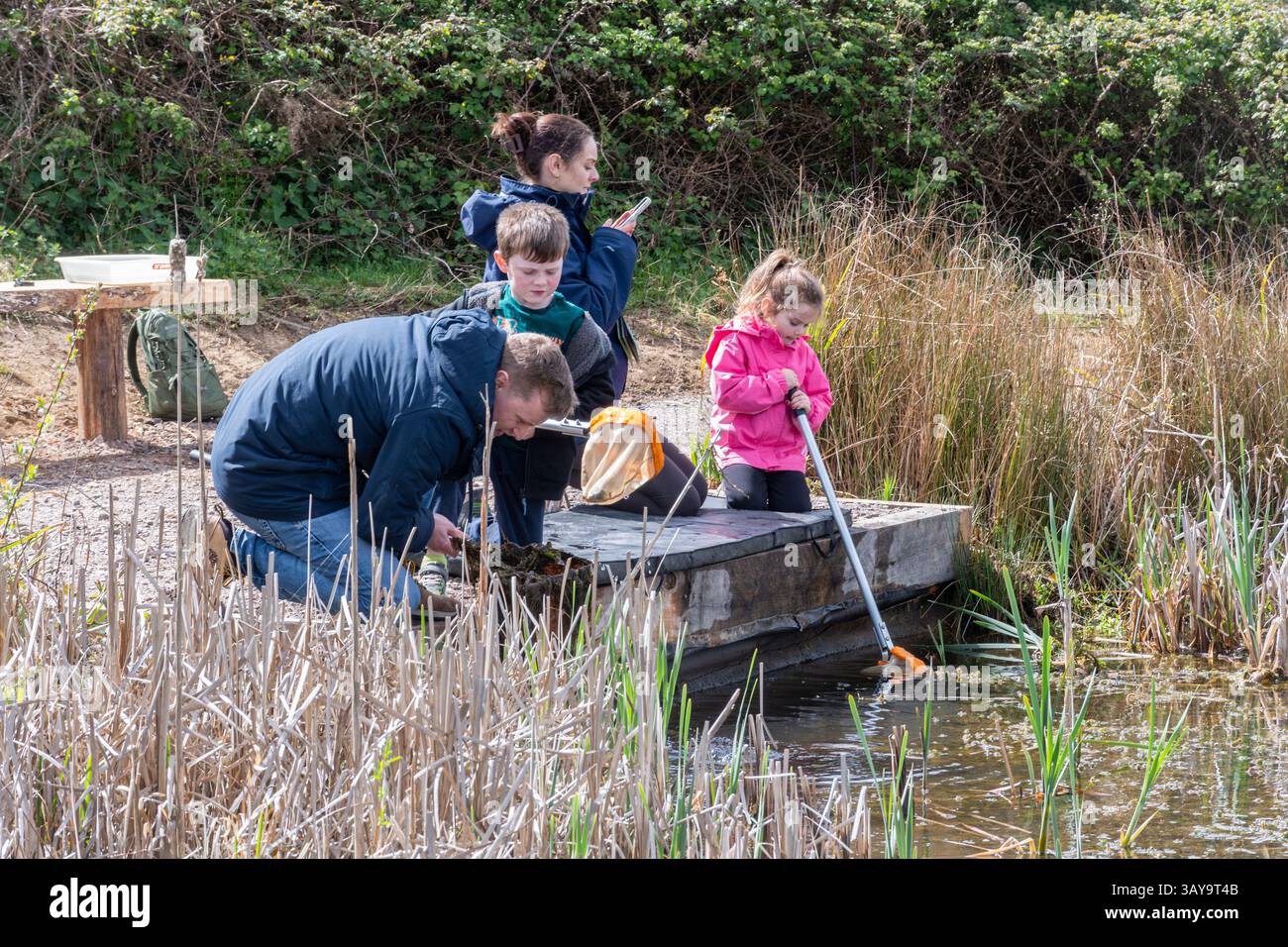 La famiglia si diverte in un evento di immersione in laghetto e impara a conoscere la natura e la fauna selvatica in Inghilterra, Regno Unito Foto Stock