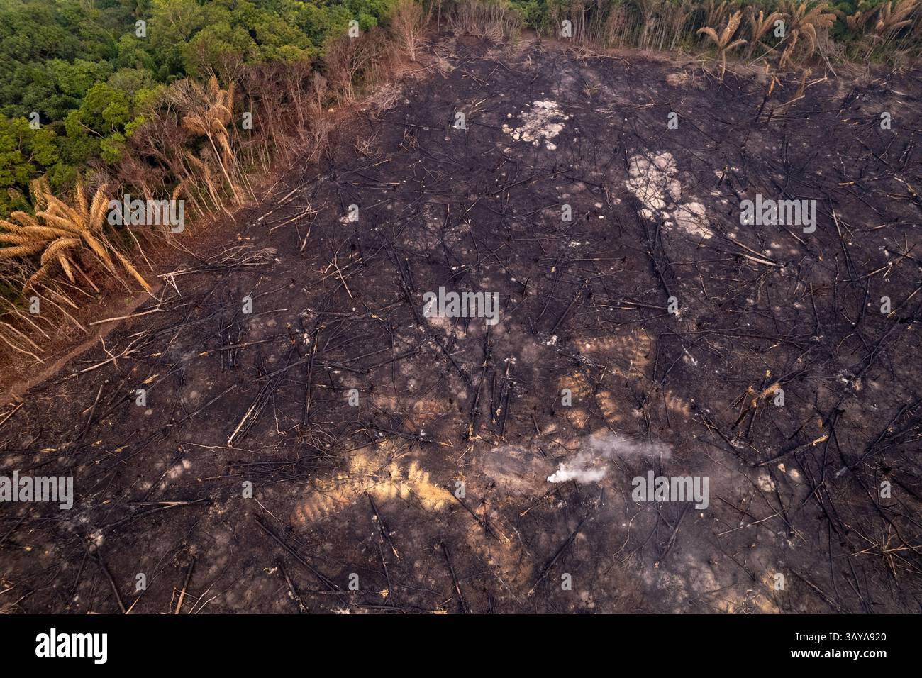 Foresta pluviale amazzonica deforestazione illegale alberi bruciati vista aerea nello stato di Para, Brasile. Concetto di ambiente, ecologia, natura, cambiamento climatico. Foto Stock