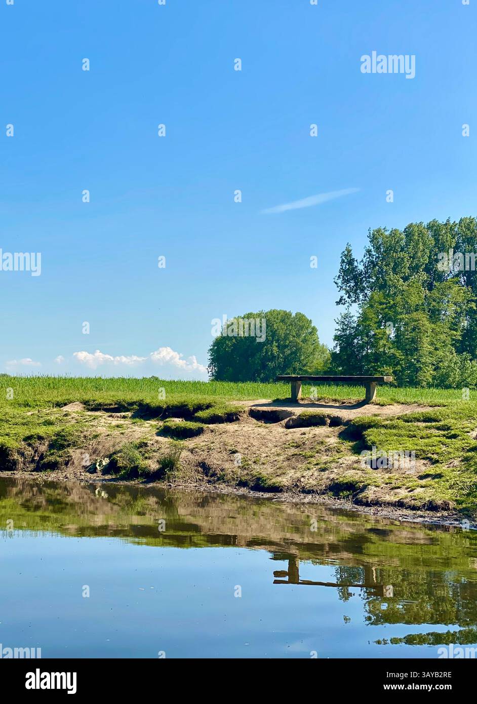 Una panchina solitaria si erge su una sponda erbosa sotto un cielo azzurro e limpido, che si riflette dolcemente nell'acqua calma sottostante. La scena irradia pace e invita a - Immagine stock catturata con smartphone