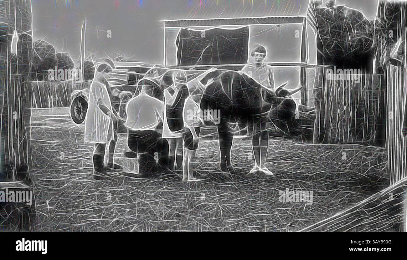 Un gruppo di individui si riunisce intorno a un animale in un ambiente rurale, impegnandosi in quello che sembra essere uno scambio o un'attività che coinvolge la creatura. L'atmosfera suggerisce una scena di coinvolgimento della comunità e connessione con la natura. Negativo - Stratford, Victoria, 1923, Un certo numero di bambini che guardano un uomo mungere una mucca., arte classica con un tocco moderno reinventata da Artotop Foto Stock