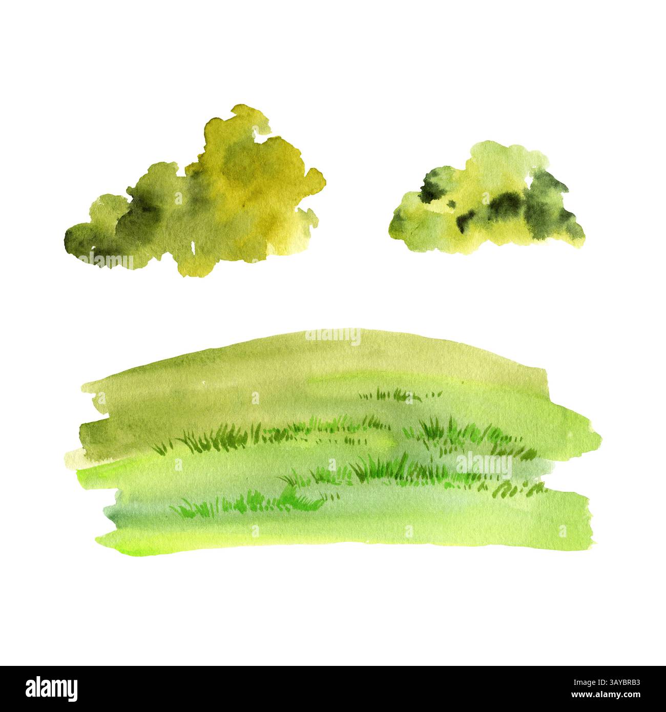 set di acquerelli di alberi verdi, erba e arbusti diversi, illustrazione disegnata a mano di vari fogliami, parte di foreste e parchi, per la progettazione del paesaggio Foto Stock