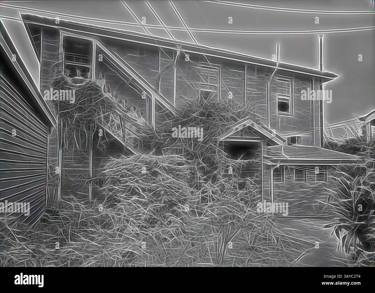 Un edificio a più livelli è circondato da piante sovrastate, con linee intricate che creano un effetto surreale simile a quello di uno schizzo. I dettagli architettonici e il fogliame si intrecciano, dando alla scena una qualità eterea., negative, Developing & Printing Team, Townsville, QLD, 1930s, negativo pellicola in bianco e nero del team di sviluppo e stampa Kodak Australasia Pty Ltd dal laboratorio di lavorazione di Townsville, Queensland, negli anni '1930 Il gruppo di 9 donne è in piedi sulle scale sul retro di un edificio in mattoni a due piani, con cespugli di rose e viti nel giardino in primo piano inferiore. raccolta Foto Stock