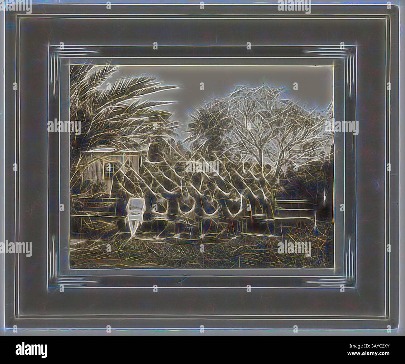 Un gruppo di individui si erge in una spettacolare esposizione, circondato da lussureggianti alberi e vegetazione. La composizione presenta un contrasto sorprendente tra le figure e il loro sfondo naturale, creando un intrigante senso di profondità e movimento. Fotografia, Ladies Gymnastic Team, 1920, Fotografia in bianco e nero si monta su una tavola grigia. Ritratto di gruppo della squadra di ginnastica Kodak Ladies. Il team ha visitato luoghi come Bendigo, Ballarat e Geelong Giving. La signora Annie Ford, la madre dei donatori, e' la seconda da sinistra in fila. raccolta di prodotti, materiale promozionale Foto Stock