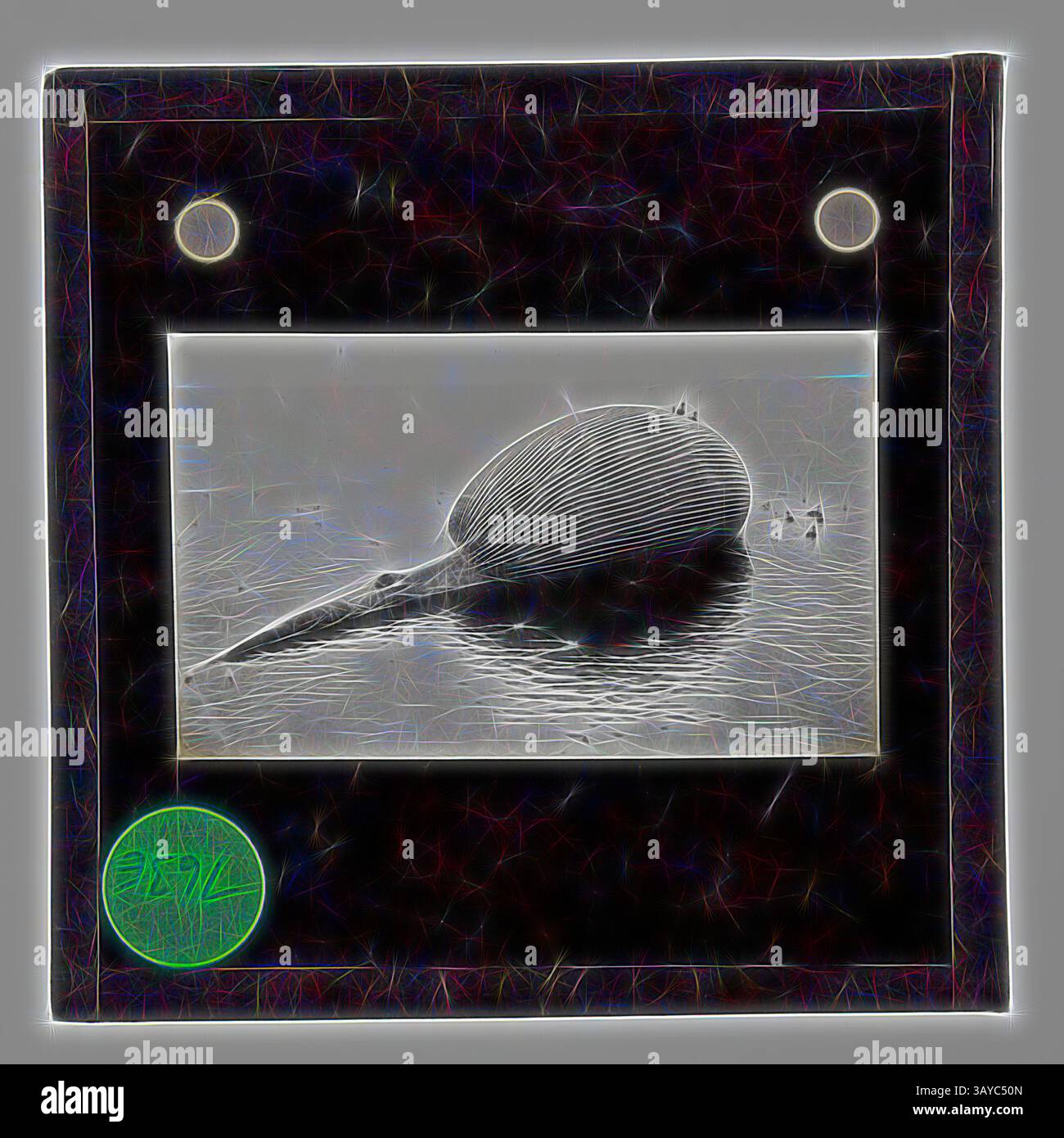 Uno scivolo d'epoca mostra un paesaggio sereno caratterizzato da un grande oggetto liscio che poggia sull'acqua calma, incorniciato da un bordo testurizzato e contrassegnato da un distintivo logo verde. Lantern Slide - Una balena morta fatta esplodere con il proprio gas, BANZARE Voyage 2, Antartide, 1930-1931, Lanterna slide di una balena morta, Antartide. Una delle 328 immagini in vari formati, tra cui opere d'arte, fotografie, negativi di vetro e diapositive a lanterna. Arte classica con un tocco moderno reinventata da Artotop Foto Stock