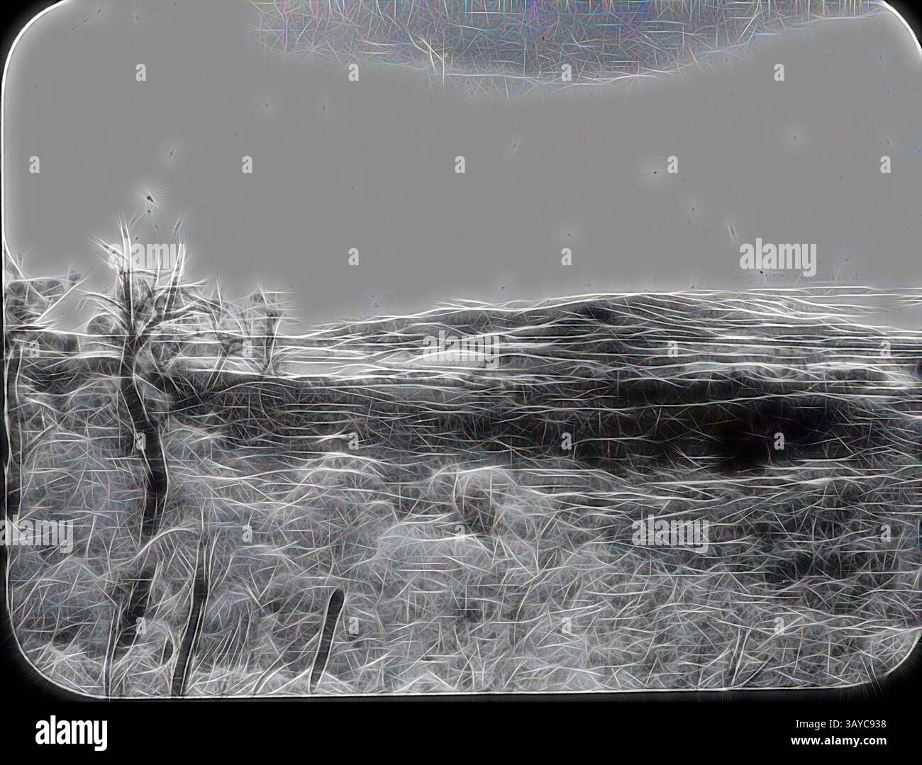 Un paesaggio sereno mette in mostra colline ondulate sotto un cielo nuvoloso, con texture intricate e linee morbide raffiguranti alberi e fogliame in primo piano. La scena evoca un senso di calma e introspezione. Lantern Slide - Dandenong, Victoria, Date Unknown, immagine in bianco e nero dei Dandenong presa dal punto di osservazione di Ferntree Gully. Si tratta di uno dei tanti scivoli lanterna di vetro che formano la A.J. Campbell Collection, ospitata dai Musei Victoria, arte classica con un tocco moderno reinventata da Artotop Foto Stock