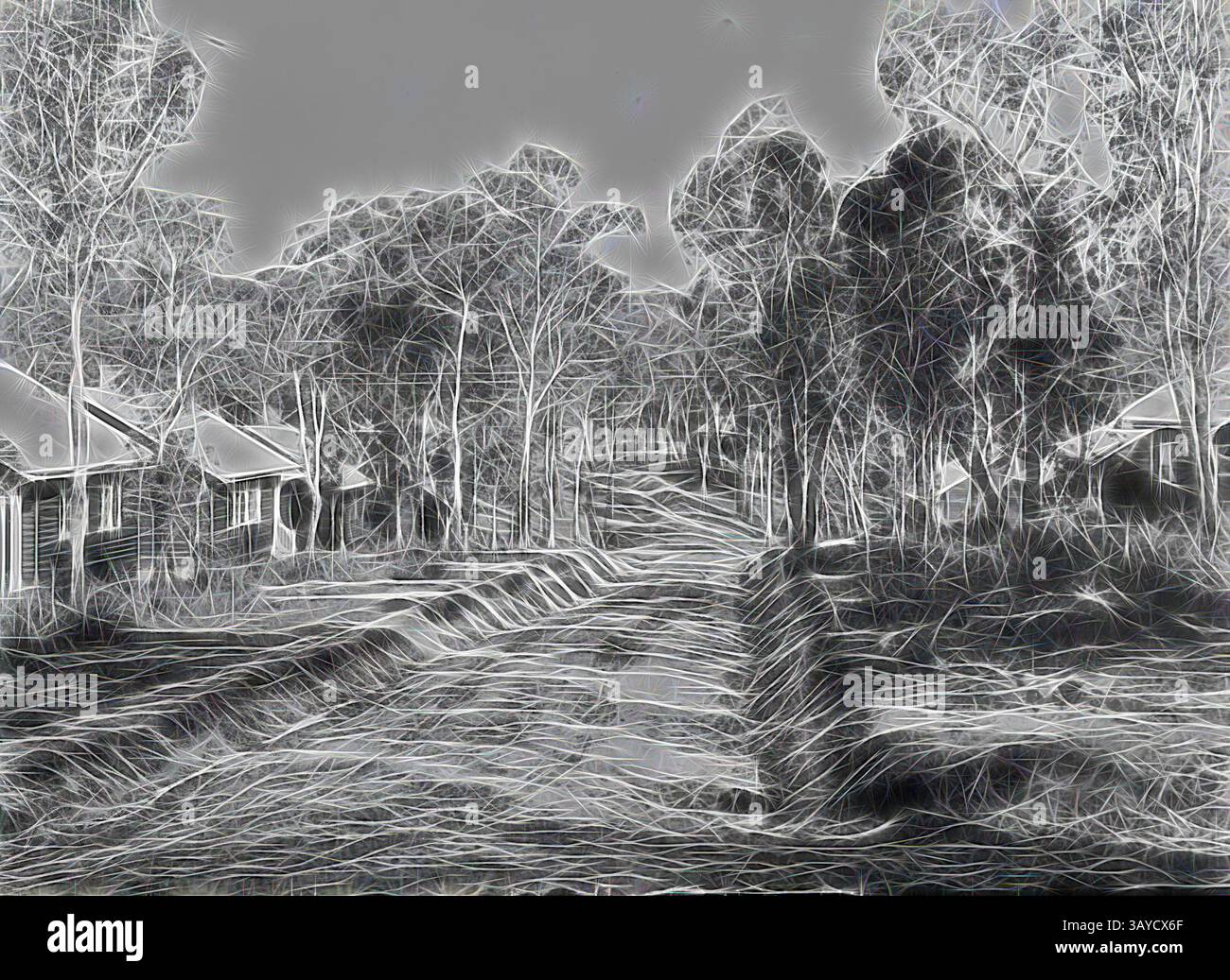 Un tranquillo sentiero fiancheggiato da alberi e piccole case, che creano una tranquilla scena di campagna. I contorni morbidi del fogliame e delle strutture aggiungono una qualità onirica, invitando l'esplorazione della strada tortuosa che si prospetta., negative - State Electricity Commission, Yallourn, Victoria, 1920-1930, parte di una grande collezione fotografica di negativi di lastre di vetro e film, stampe fotografiche e album fotografici, relativi allo sviluppo dell'industria dell'energia elettrica a Victoria, gestita dalla State Electricity Commission of Victoria (SECV) dal 1919 al 1993 e vari predecessori privati e Foto Stock